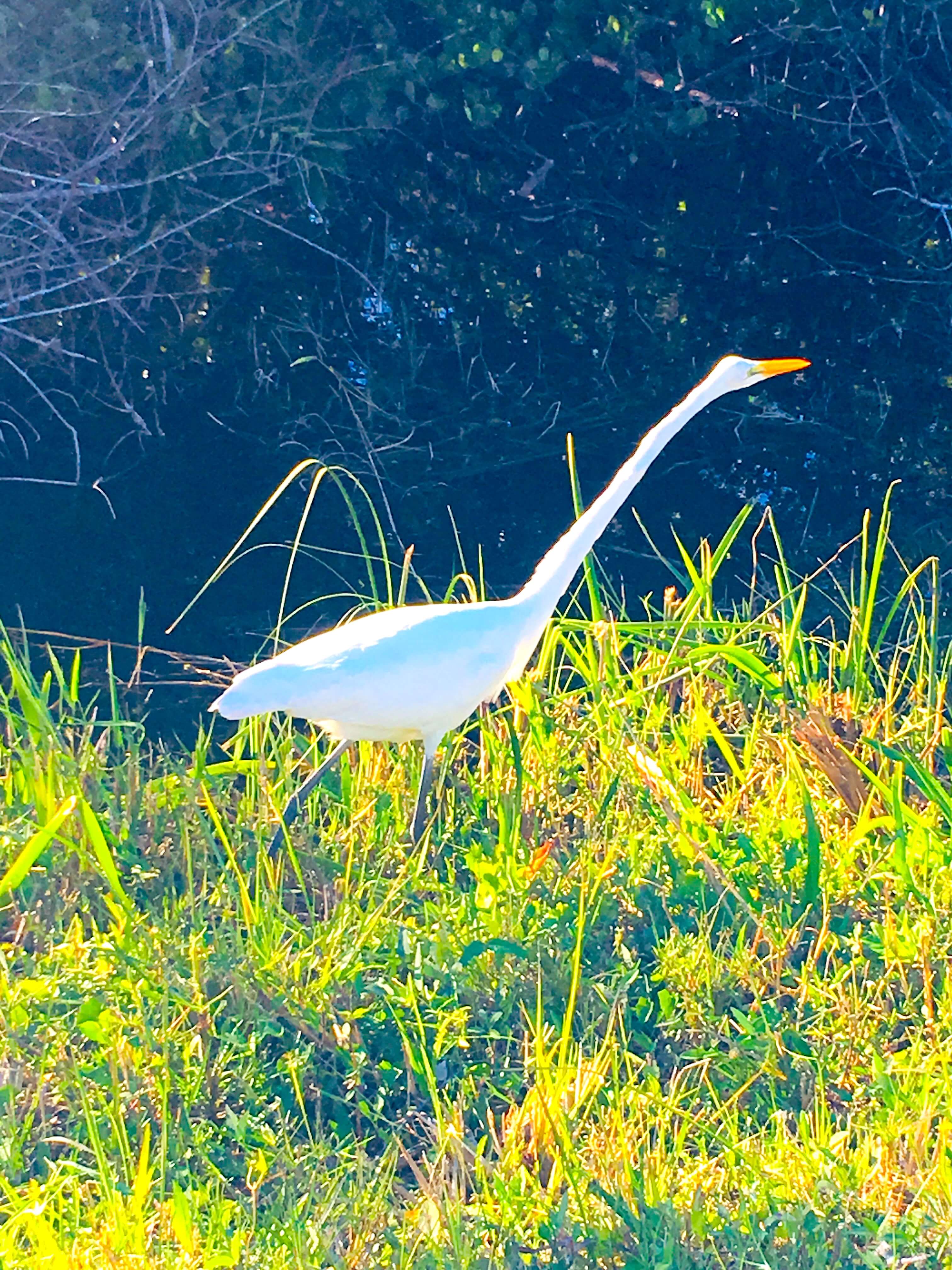 How To Spend Two Days In Everglades National Park - Family~Travel~Lifestyle